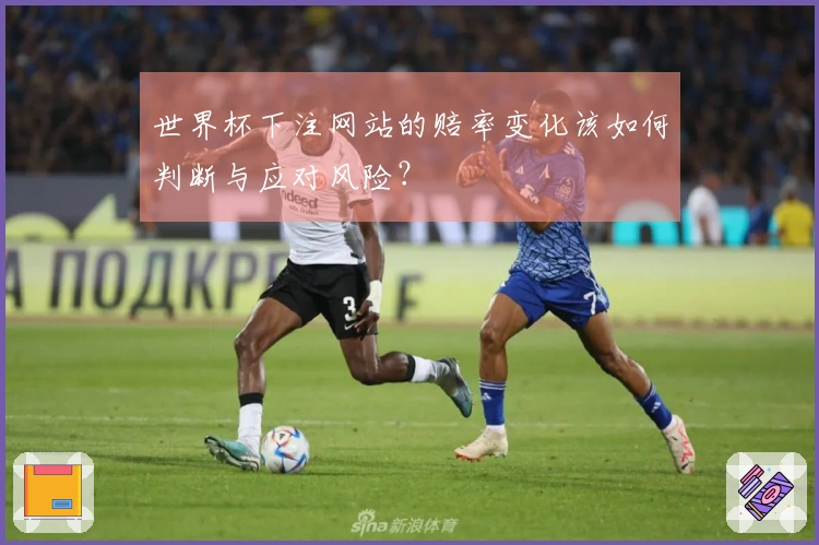 世界杯下注网站的赔率变化该如何判断与应对风险？