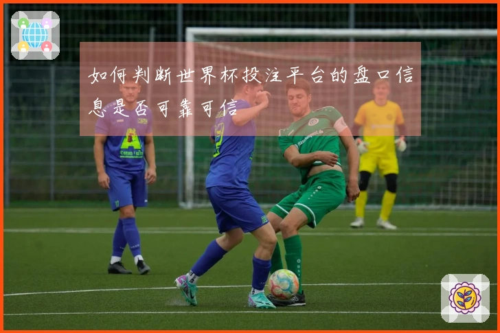 如何判断世界杯投注平台的盘口信息是否可靠可信