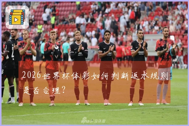 2026世界杯体彩如何判断返水规则是否合理？