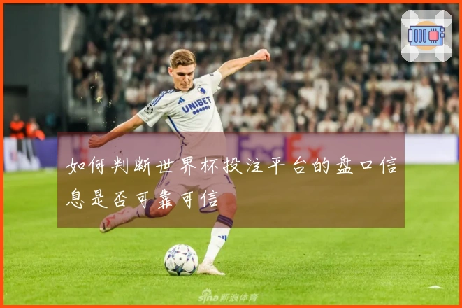 如何判断世界杯投注平台的盘口信息是否可靠可信