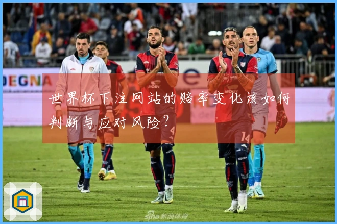 世界杯下注网站的赔率变化该如何判断与应对风险？